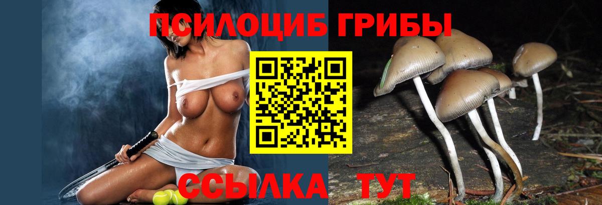 Улан-Удэ  где купить   Вход с VPN  Псилоцибиновые грибы мицелий 